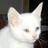 anibal1704's profile image