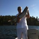 Kiel Stephens - @KielStephens - Twitter