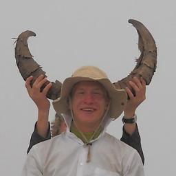 artyomsinyugin's profile picture. 