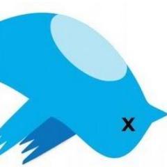 Twitter Oficial de #SiguemeYTeSigo en Argentina