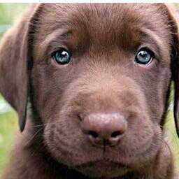 GlennFalco's profile picture. It's Hard Work