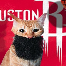 Pet the kitty, but fear the beard.
