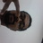 Profile Picture of Steve Allan Deguzman (@tebaneightman) on Twitter