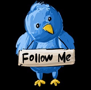 Chabadalechat's profile picture. Je follow back