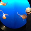 Dan Pennell - @djpennell - Twitter