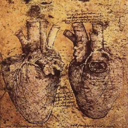 nurserentor6's profile picture. 