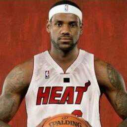 fake lebron