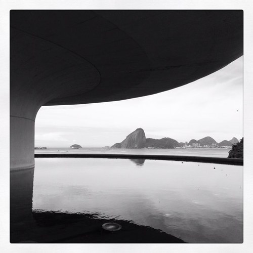 sharihatchjones's profile picture. 