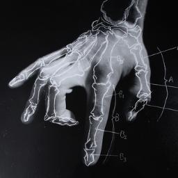 Amanda_Tolleson's profile picture. 