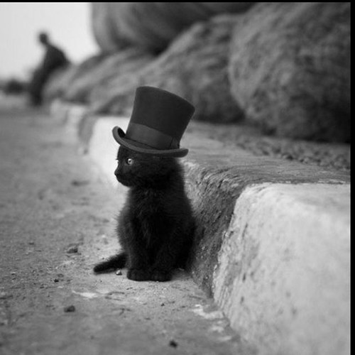 5moothPablo's profile picture. He/Him.