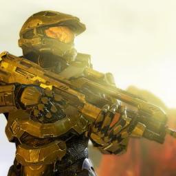 Freelancer Agent Ohio. Infiltration specialist, taken into UNSC custody after the disband.