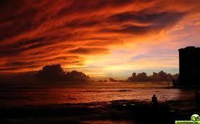 Sandeep81987451's profile picture. 