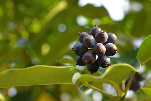 hyoso1's profile picture. 밝고 맑고 건강하게~~^^