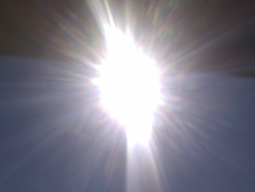 agnesproust Profile Picture