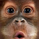 Michael Desmet - @MichaelDesmet - Twitter