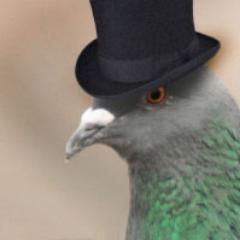 UI / UX designer & HTML / CSS enthousiat. I like birds too!