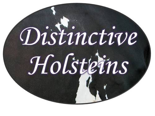 DistinctiveHols's profile picture. 