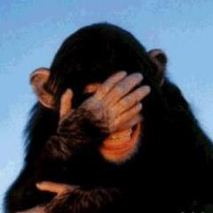 Blerf_1968's profile picture. Hobby idioot