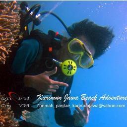 roemah_karimun's profile picture. 29F7E900 CP : EXXE [AS 085290782535]/
(XL 087746286516)(iM3 085740937051)(3 08985460836)YM : roemah_pantae_karimunjawa@yahoo.comWhatsAPP
089662473595