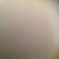 ا (@salah) 's Twitter Profile