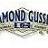 DiamondGusset's profile image