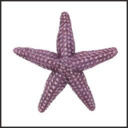 pco225's profile picture. 