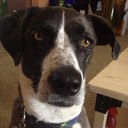 Michael Sides - @mdsides - Twitter