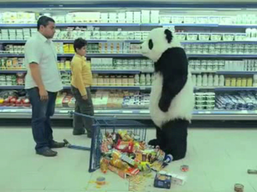 PandaChiant's profile picture. "So you're saying ... ?"