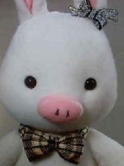 tokki