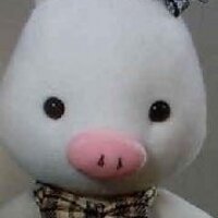 tokki (@tokki811) 's Twitter Profile Photo