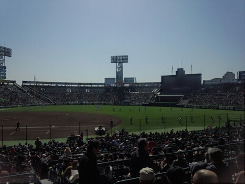 seart1198627's profile picture. 