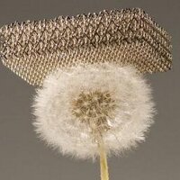 Kevin Lee (@leekeatmac) 's Twitter Profile