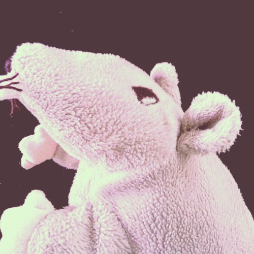 MissEstuarda's profile picture. raca