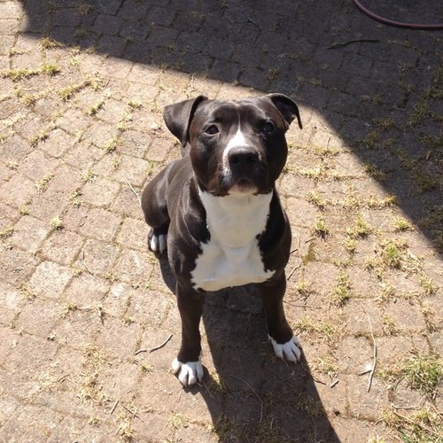 TimbaBrkln's profile picture. 