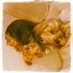 Liloliliana Hunt (@liloh555) Twitter profile photo