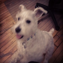 Ain't nothin not to woof about me!