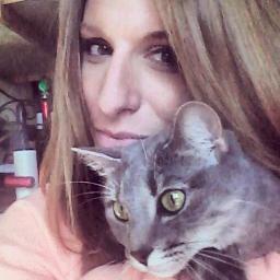 kelseycarver's profile picture. Passionate about funny cats & the correct use of you're/your.