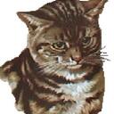 dani storm - @mattluvr - Twitter