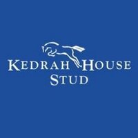 Kedrah House Stud (@kedrah1) 's Twitter Profile Photo Kedrah House Stud (@kedrah1) 's Twitter Profile Photo
