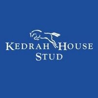 Kedrah House Stud(@kedrah1) 's Twitter Profileg