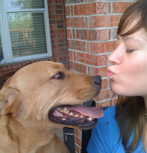 hkharvey's profile picture. 