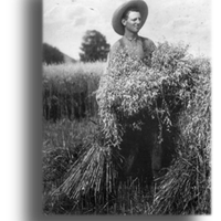 Ingersoll Cheese Museum (@ingersollmuse1) 's Twitter Profile Photo Ingersoll Cheese Museum (@ingersollmuse1) 's Twitter Profile Photo