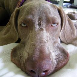 JohnLoccke's profile picture. Into my second life, after having been reborn.