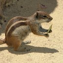 Peter Cooper - @petertjcooper - Twitter