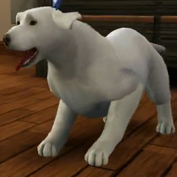 I'm the mother of Burrito Pasta Thornbeary + Ben Ben Little Dog's wife. I live in Monte Vista with the Thornbeary family.