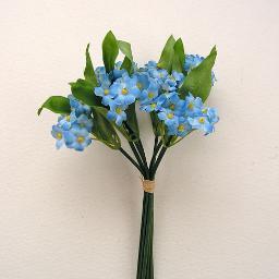 steesdementia's profile picture. Health professionals trying to improve all aspects of care for patients with dementia, delirium and frailty.