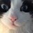 Teatime_Books's avatar