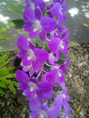 mariel_mata's profile picture. 