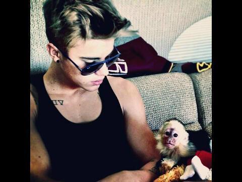 all the day I thank God for all he has given me♥I like having many friends and being friendly:) #FANS @justinbieber @selenagomez @carlyraejepsen @onedirection