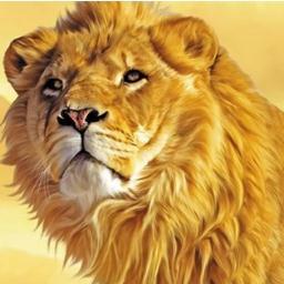 swinspector's profile picture. 